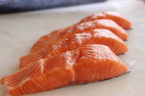 Harga daging ikan salmon fillet